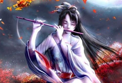 小說網(wǎng)站seo教學(xué)視頻教程