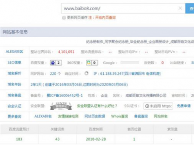新網站如何做seo？小白站長實操案例！